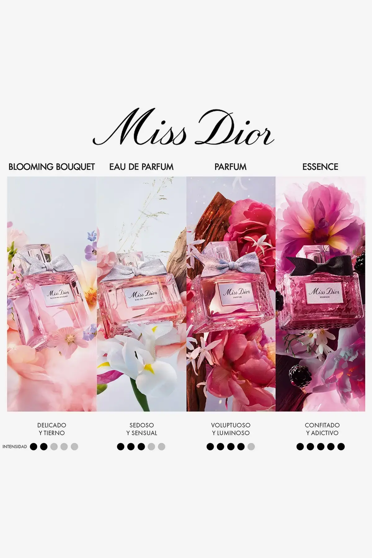 Set Miss Dior Holiday Jewel Box x2 | Deprati Tienda Online