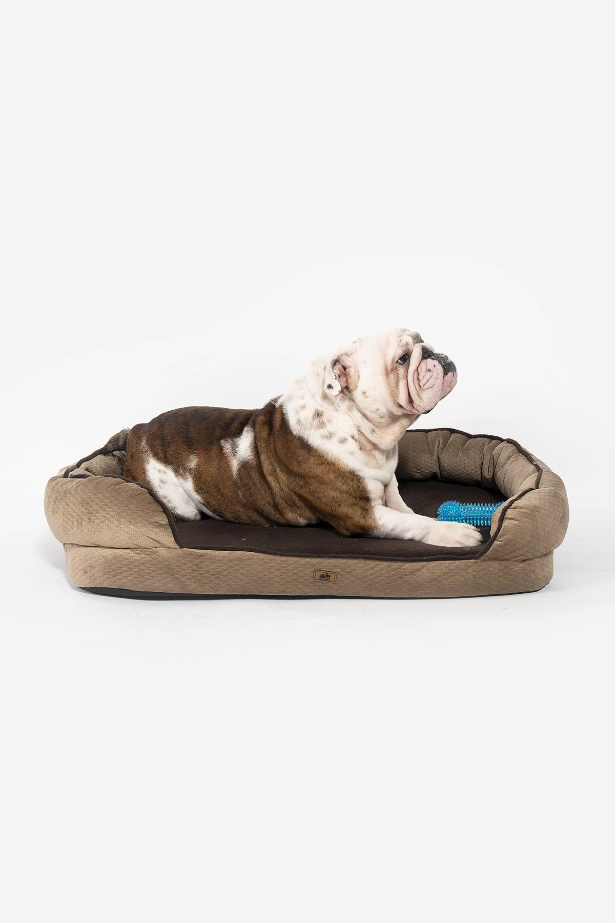 Cama perro pet king hot sale