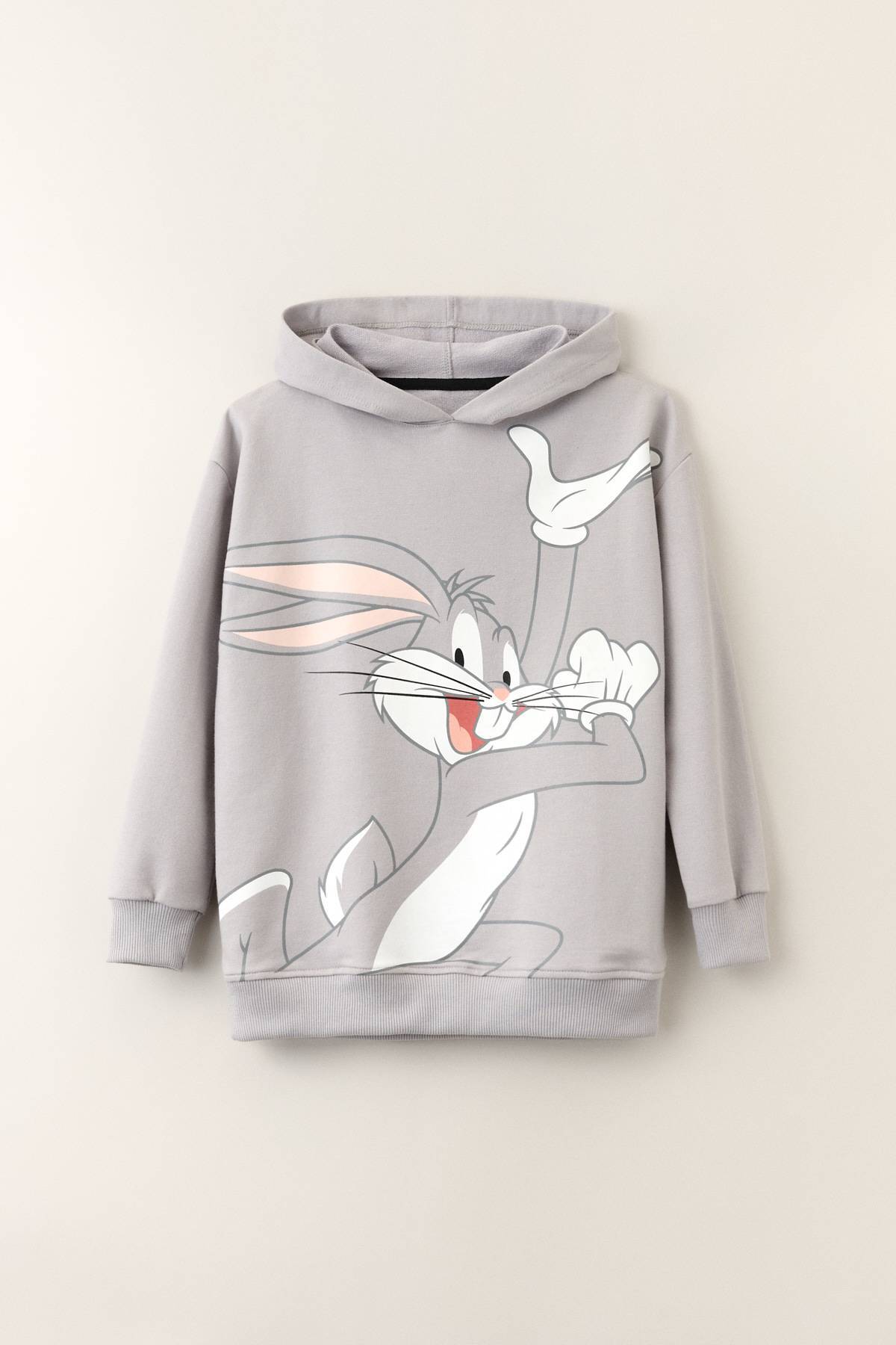 Sweater Sudadera Looney Tunes Zara Sudadera Capucha Sudadera