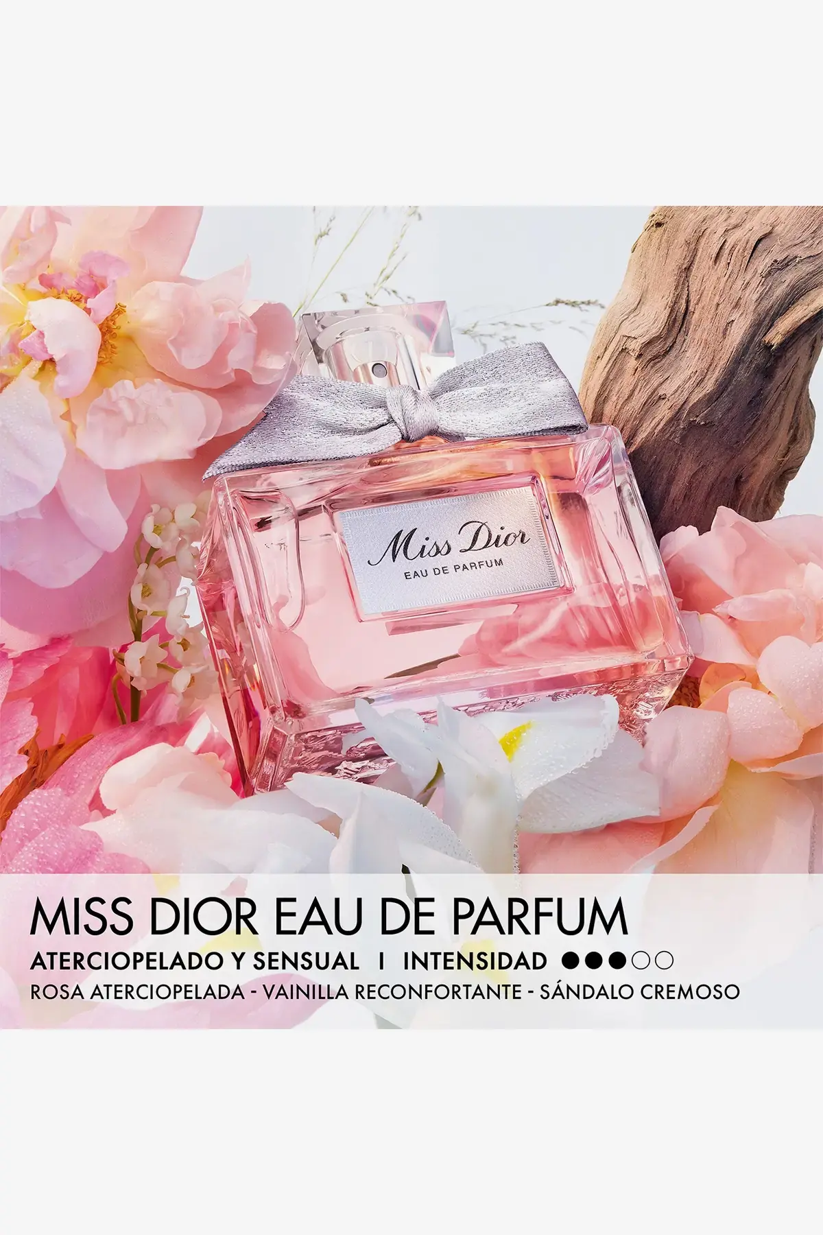 Set Miss Dior Holiday Jewel Box x2 | Deprati Tienda Online