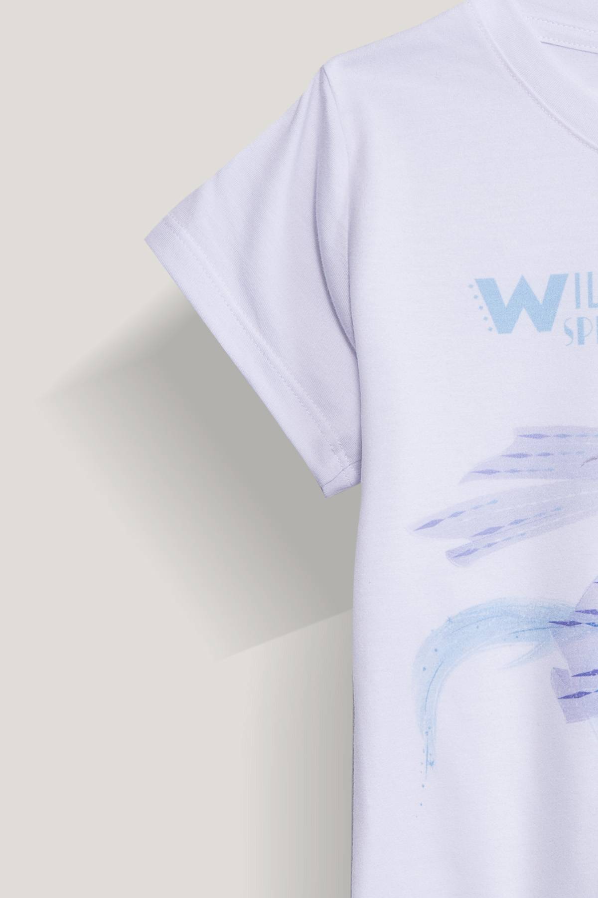 Camiseta Sublimado Frozen 2 De Prati Tienda Online
