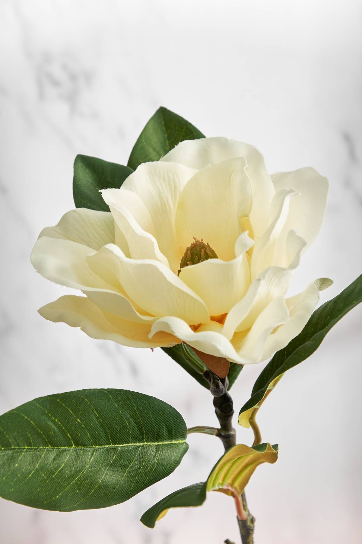 50 PCS FOGLIE Di Piante Finte Magnolia Artificiale Artificiali EUR 11,10 - FR