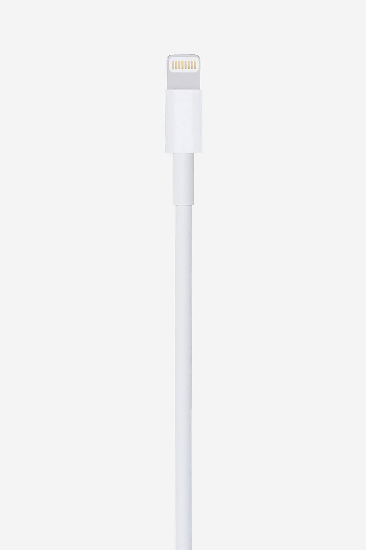 Cable Lightning a USB Apple 2 mts De Prati Tienda Online