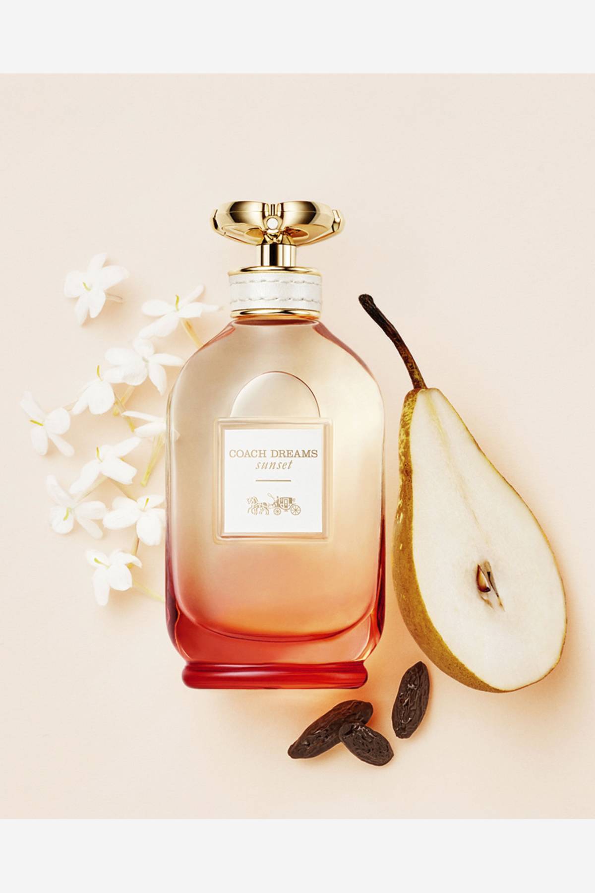 Eau de Parfum Dreams Sunset Coach 90 ml De Prati Tienda Online