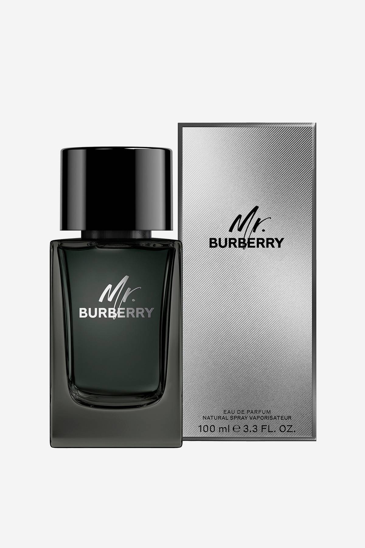 Burberry 2024 perfume notas